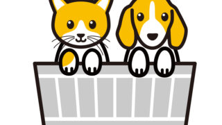 資本主義社会では格差ができることは事実 自分で生き方を選択できる自由があるということも事実 しかし現実的には今以上のセーフティーネットが必要と感じる