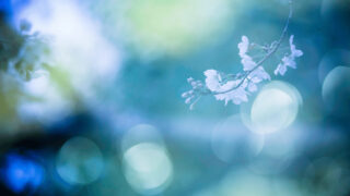 占いって当たりますか って良く聞かれますけど 僕は天気予報みたいな感じかなと思っています 100%ではないです 大きいところは当たりますけど