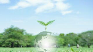 その時、ローカル出身の僕から見て都会の人は「よこしま:邪」「欲」だと感じた けれどこれは人の本能としてすごく大事だと思う