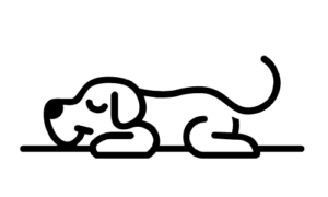 人生の中で理不尽なことが多いなと感じるときの対処法。それは1.自分なりの答えを持つこと 2.割り切って流すこと