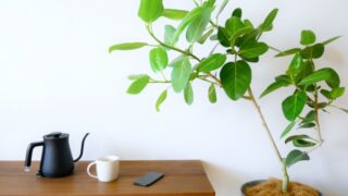 東京と大阪の違いは